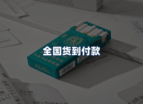 专业团队办公环境